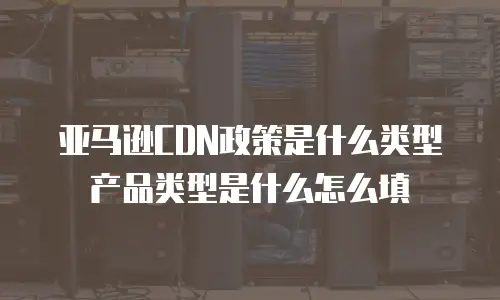 亚马逊CDN政策是什么类型产品类型是什么怎么填