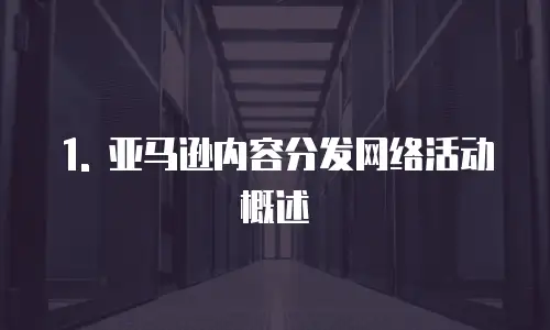1. 亚马逊内容分发网络活动概述