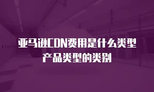 亚马逊CDN费用是什么类型产品类型的类别