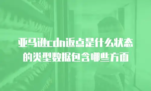 亚马逊cdn返点是什么状态的类型数据包含哪些方面