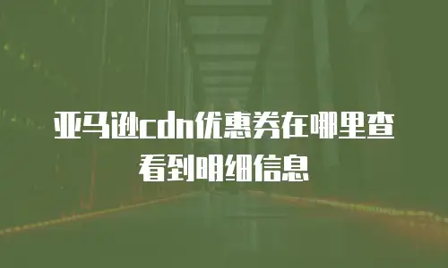 亚马逊cdn优惠券在哪里查看到明细信息