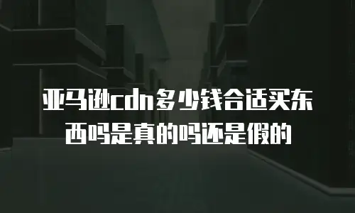 亚马逊cdn多少钱合适买东西吗是真的吗还是假的