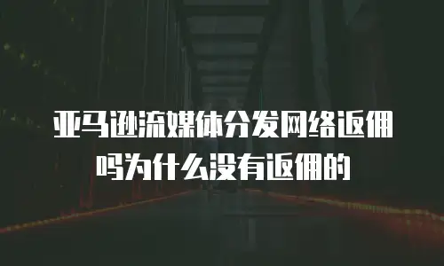 亚马逊流媒体分发网络返佣吗为什么没有返佣的