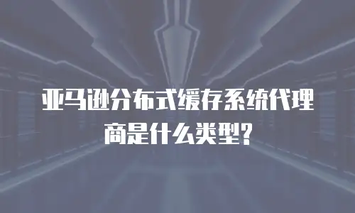 亚马逊分布式缓存系统代理商是什么类型?