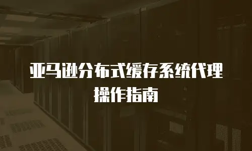  亚马逊分布式缓存系统代理操作指南