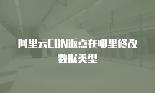 阿里云CDN返点在哪里修改数据类型
