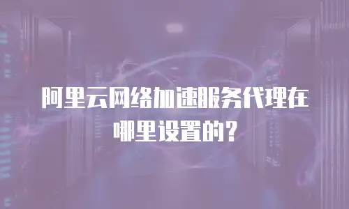 阿里云网络加速服务代理在哪里设置的？
