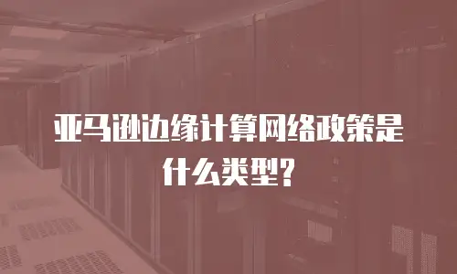 亚马逊边缘计算网络政策是什么类型?