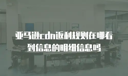 亚马逊cdn返利规则在哪看到信息的明细信息吗