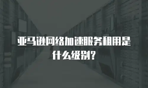 亚马逊网络加速服务租用是什么级别？