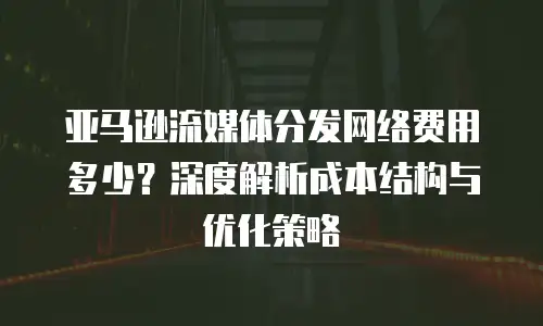 亚马逊流媒体分发网络费用多少？深度解析成本结构与优化策略