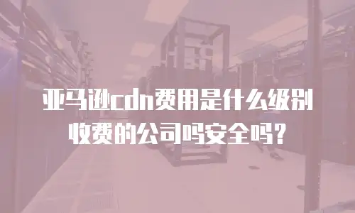 亚马逊cdn费用是什么级别收费的公司吗安全吗？