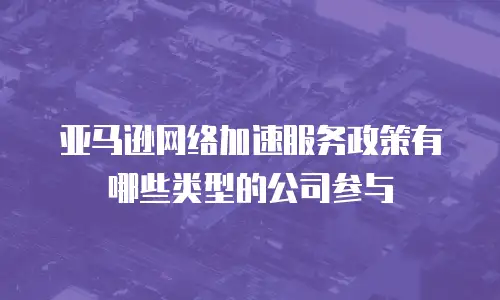 亚马逊网络加速服务政策有哪些类型的公司参与