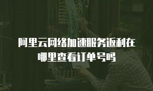 阿里云网络加速服务返利在哪里查看订单号吗