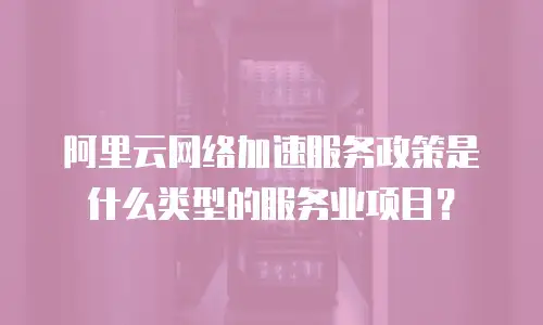 阿里云网络加速服务政策是什么类型的服务业项目？
