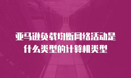 亚马逊负载均衡网络活动是什么类型的计算机类型