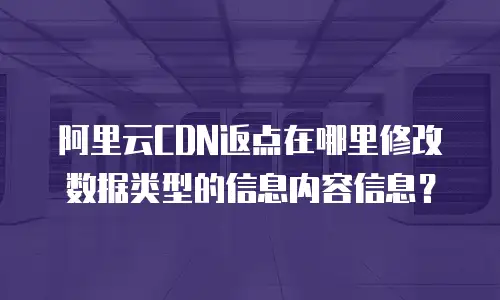 阿里云CDN返点在哪里修改数据类型的信息内容信息？