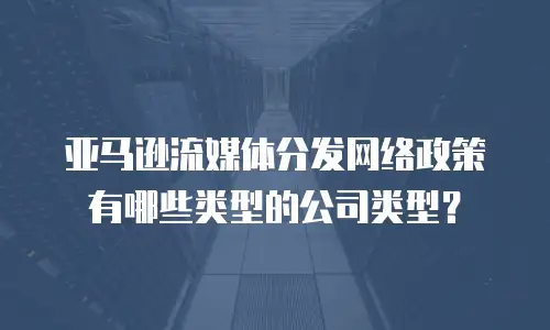 亚马逊流媒体分发网络政策有哪些类型的公司类型？