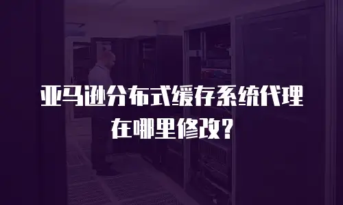 亚马逊分布式缓存系统代理在哪里修改？