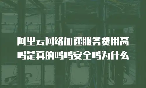 阿里云网络加速服务费用高吗是真的吗吗安全吗为什么