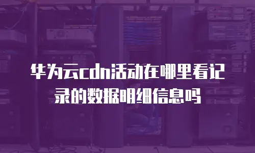 华为云cdn活动在哪里看记录的数据明细信息吗