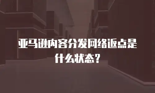 亚马逊内容分发网络返点是什么状态？