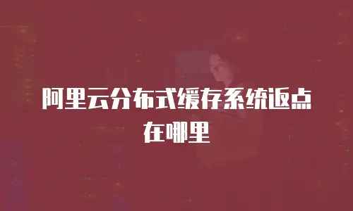 阿里云分布式缓存系统返点在哪里