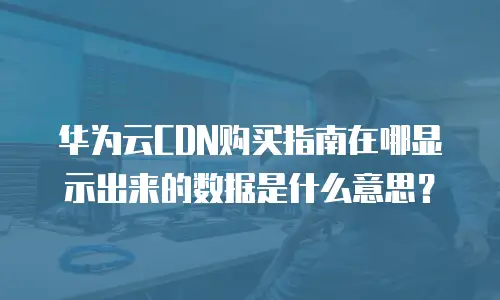 华为云CDN购买指南在哪显示出来的数据是什么意思？