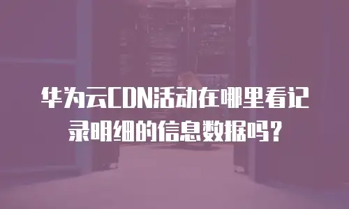 华为云CDN活动在哪里看记录明细的信息数据吗？