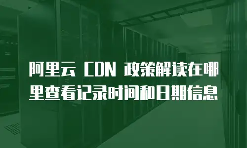阿里云 CDN 政策解读在哪里查看记录时间和日期信息