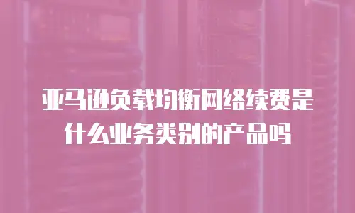 亚马逊负载均衡网络续费是什么业务类别的产品吗