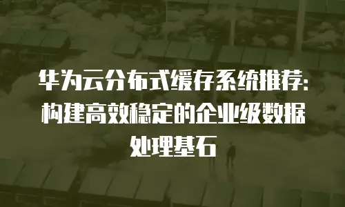 华为云分布式缓存系统推荐：构建高效稳定的企业级数据处理基石