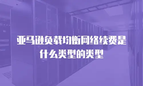 亚马逊负载均衡网络续费是什么类型的类型