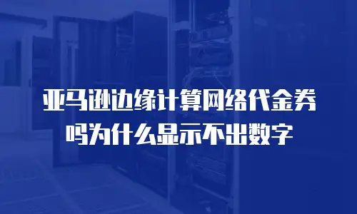 亚马逊边缘计算网络代金券吗为什么显示不出数字