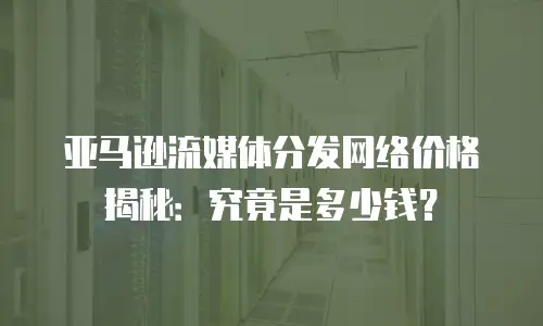 亚马逊流媒体分发网络价格揭秘：究竟是多少钱？