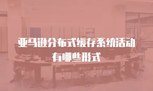 亚马逊分布式缓存系统活动有哪些形式