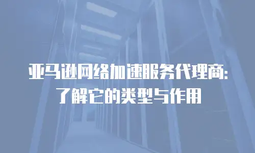亚马逊网络加速服务代理商：了解它的类型与作用