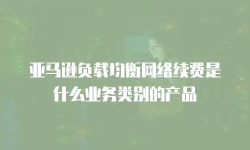 亚马逊负载均衡网络续费是什么业务类别的产品