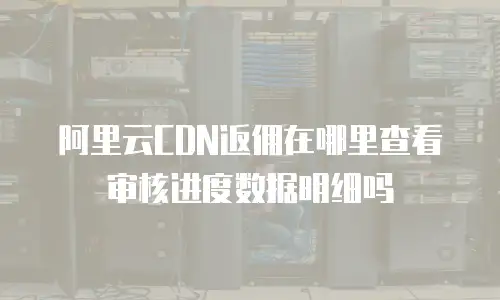 阿里云CDN返佣在哪里查看审核进度数据明细吗