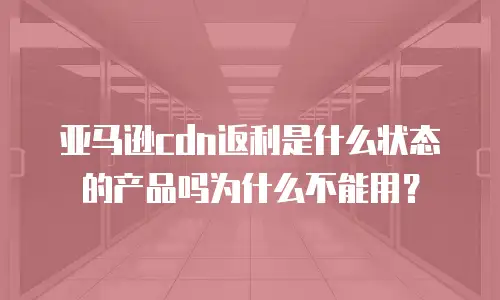 亚马逊cdn返利是什么状态的产品吗为什么不能用？