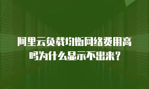 阿里云负载均衡网络费用高吗为什么显示不出来？