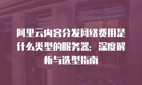 阿里云内容分发网络费用是什么类型的服务器：深度解析与选型指南