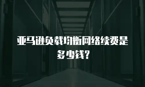 亚马逊负载均衡网络续费是多少钱？
