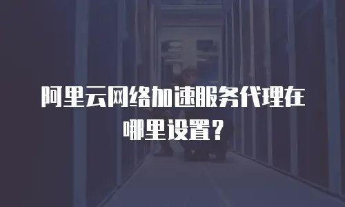 阿里云网络加速服务代理在哪里设置？