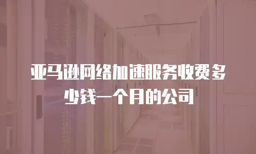 亚马逊网络加速服务收费多少钱一个月的公司