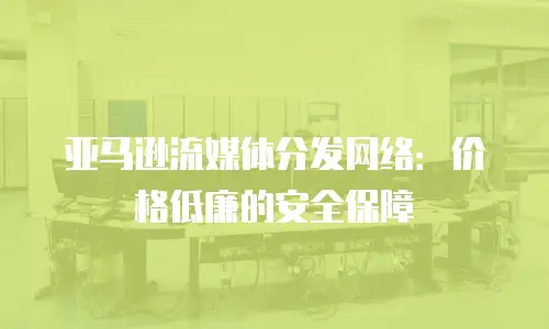 亚马逊流媒体分发网络：价格低廉的安全保障
