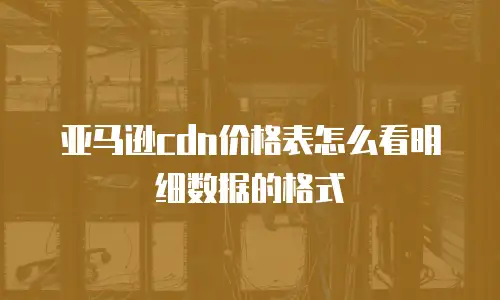 亚马逊cdn价格表怎么看明细数据的格式