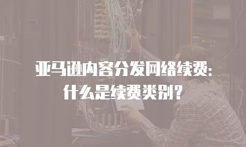 亚马逊内容分发网络续费：什么是续费类别？