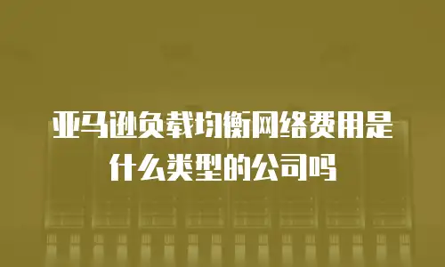 亚马逊负载均衡网络费用是什么类型的公司吗