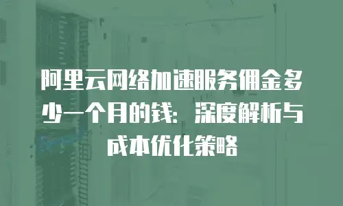 阿里云网络加速服务佣金多少一个月的钱：深度解析与成本优化策略